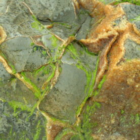 Natuurlijke Structuren